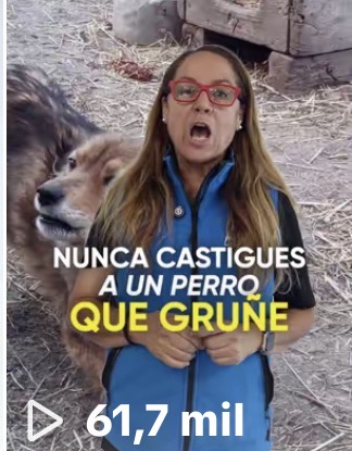 Resultado real: vídeo creado por Visionarte Agency con las visualizaciones conseguidas